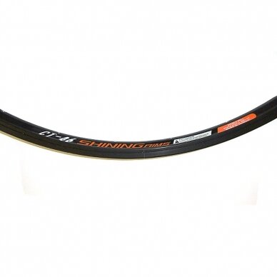 Ratlankis 27.5" Shining CT-46