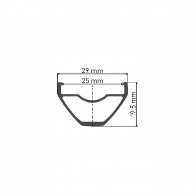 Ratlankis 29" DT Swiss X 432